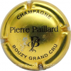 capsule champagne Initiales PP fantaisie , Pierre grand cru 